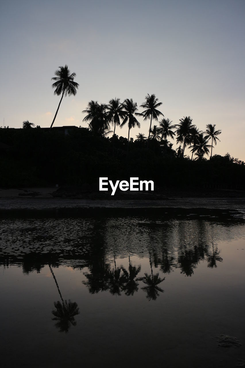 SILHOUETTE PALM TREES BY LAKE AGAINST CLEAR SKY