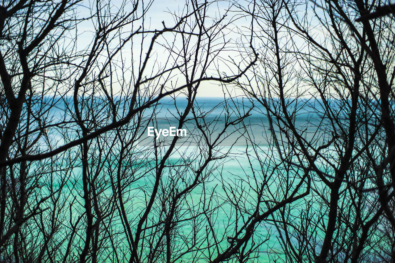 Low angle view of bare trees against blue sky