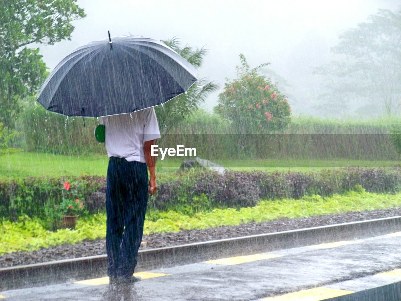 Rear view of a man standing in rain