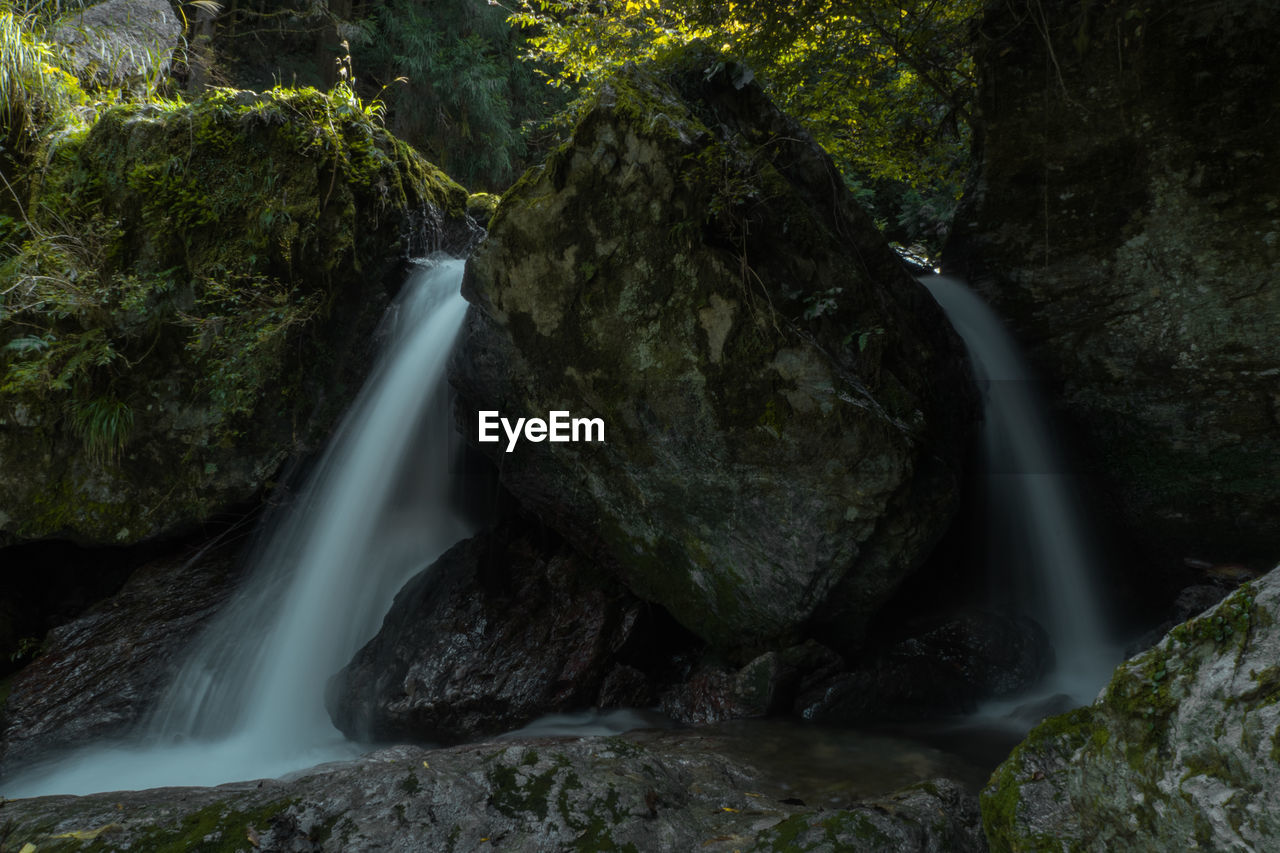 Scenic view of waterfall in forest