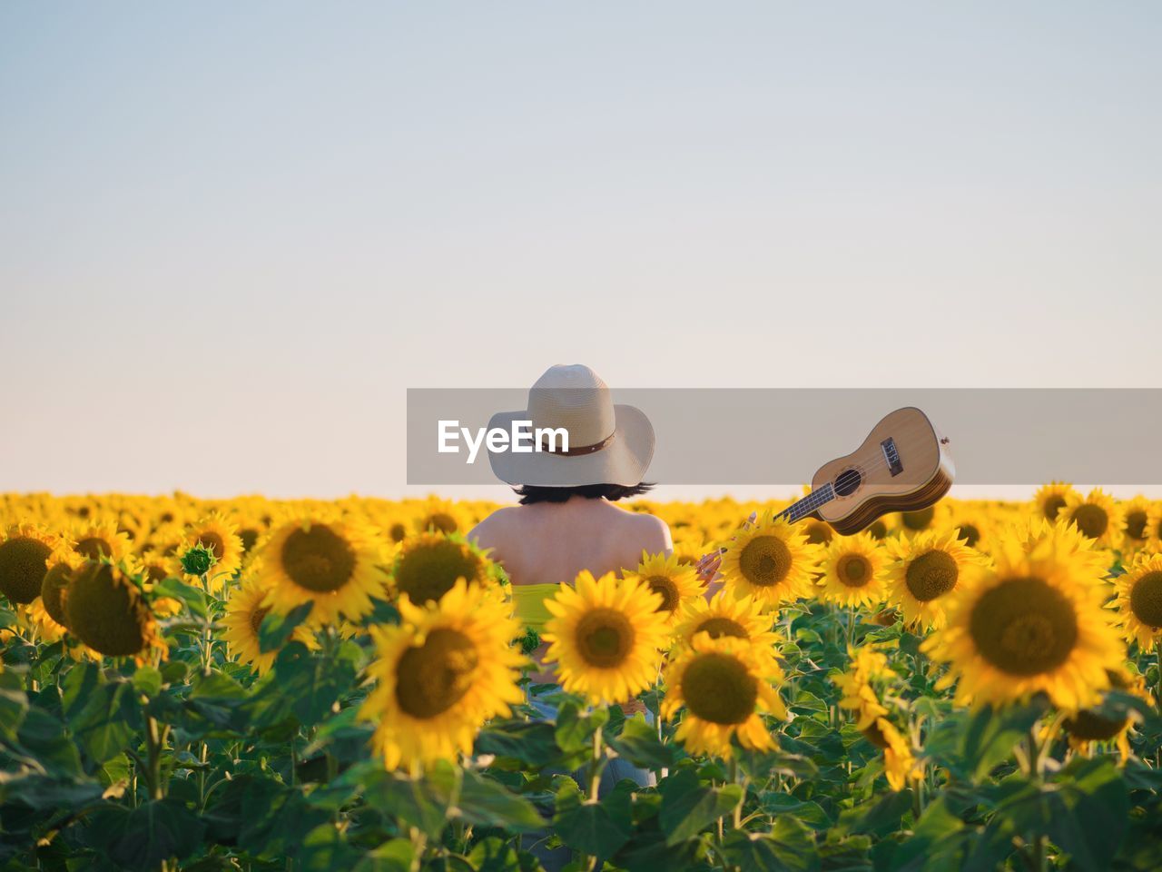 Close-up of yellow flowers blooming on field against clear sky