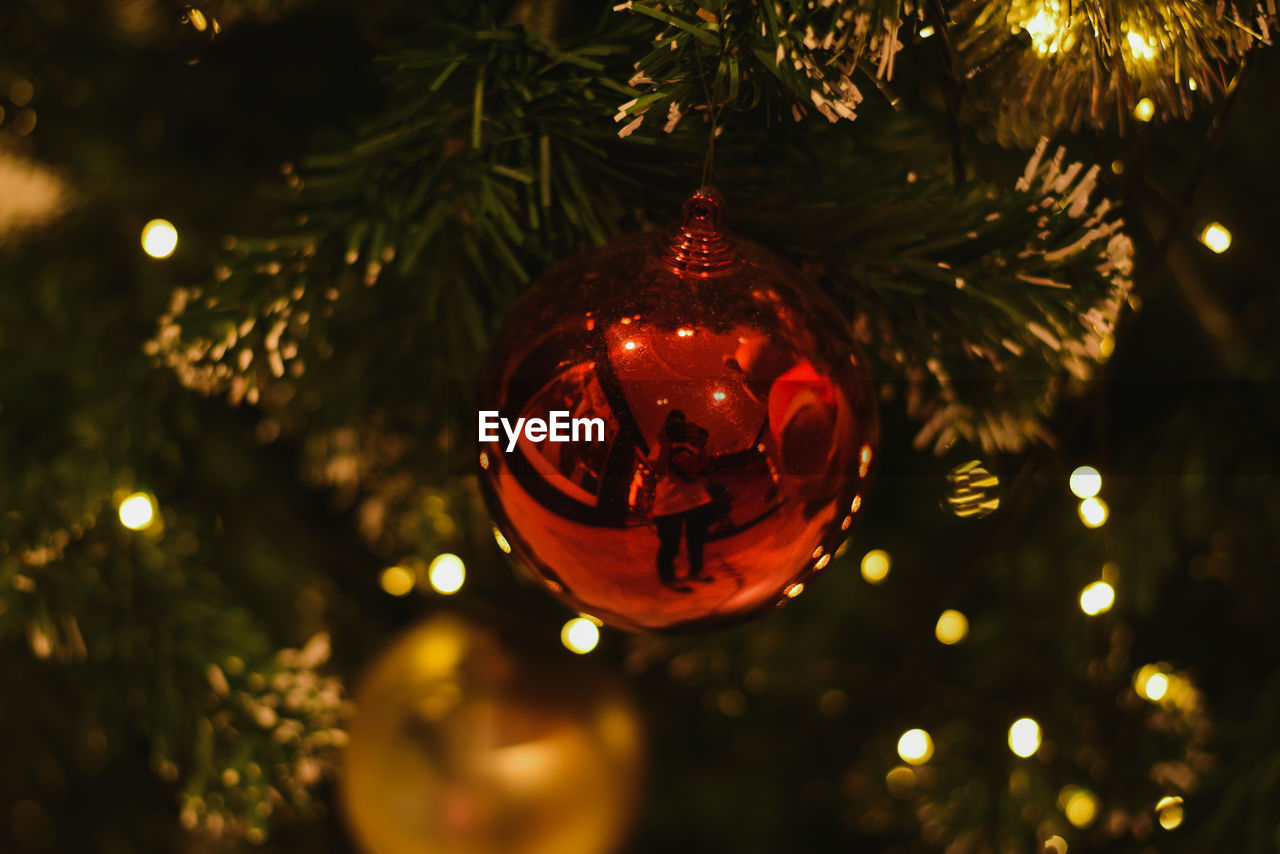 holiday, tree, christmas, celebration, christmas tree, decoration, christmas decoration, illuminated, christmas ornament, tradition, hanging, christmas lights, plant, no people, night, event, branch, nature, indoors, close-up, shiny, focus on foreground, lighting equipment, sphere, fir