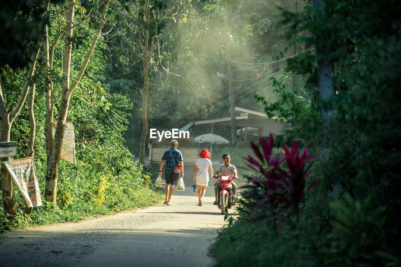 PEOPLE WALKING ON ROAD AMIDST TREES