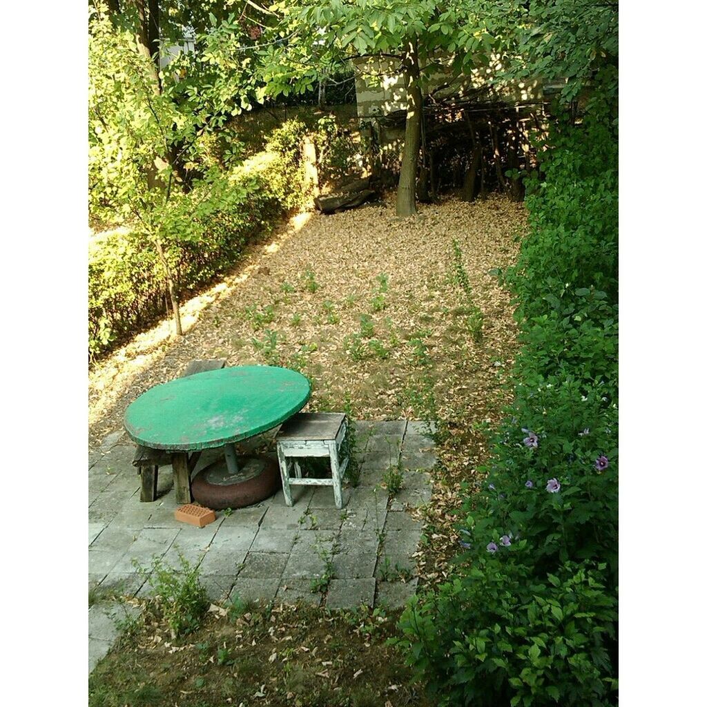 EMPTY CHAIRS IN YARD