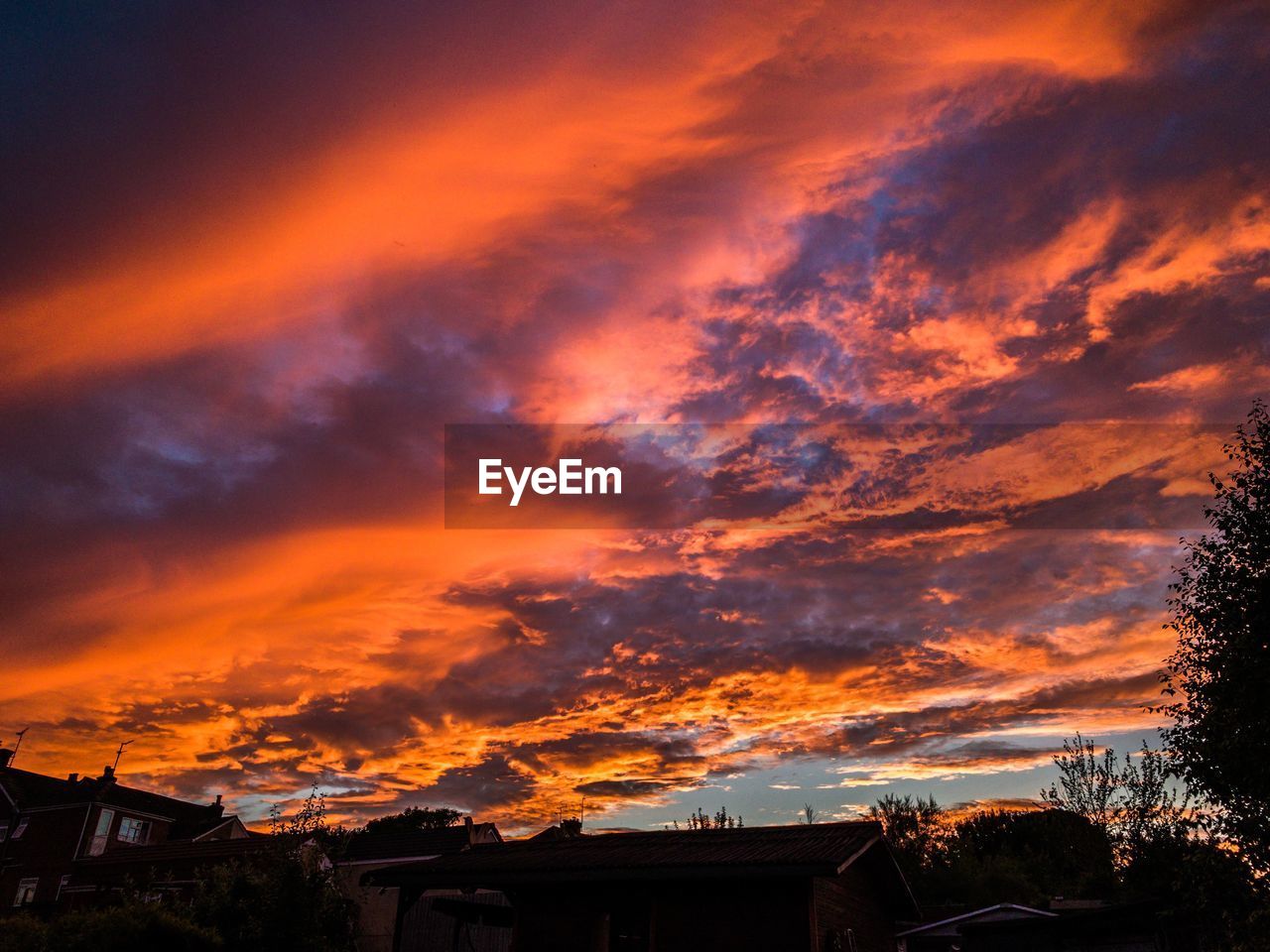 LOW ANGLE VIEW OF SILHOUETTE TREES AND HOUSES AGAINST SKY DURING SUNSET