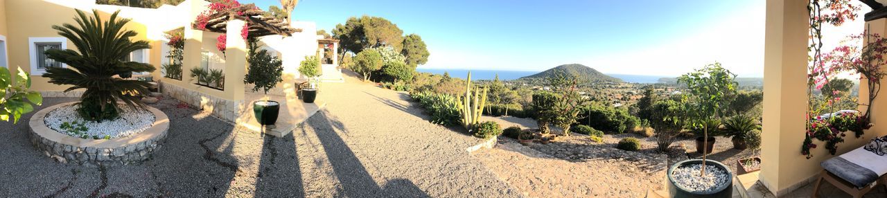 PANORAMIC VIEW OF FLOWERING PLANTS AND TREES ON MOUNTAIN AGAINST SKY