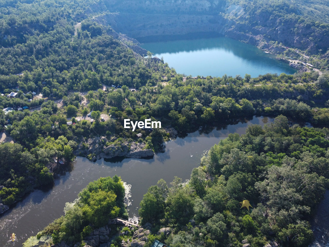 HIGH ANGLE VIEW OF TREES AND FOREST