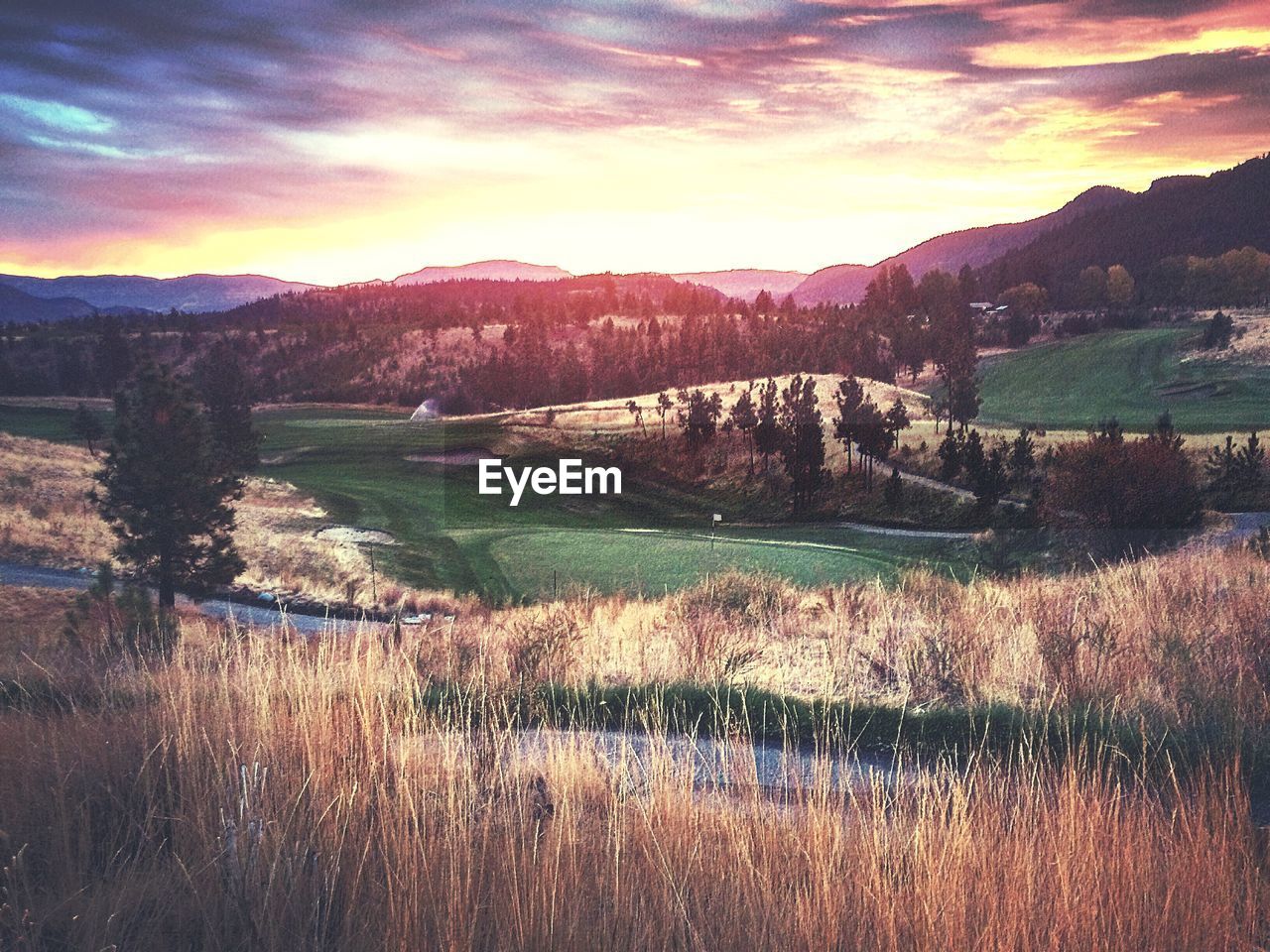 SCENIC VIEW OF LAKE BY FIELD AGAINST SKY