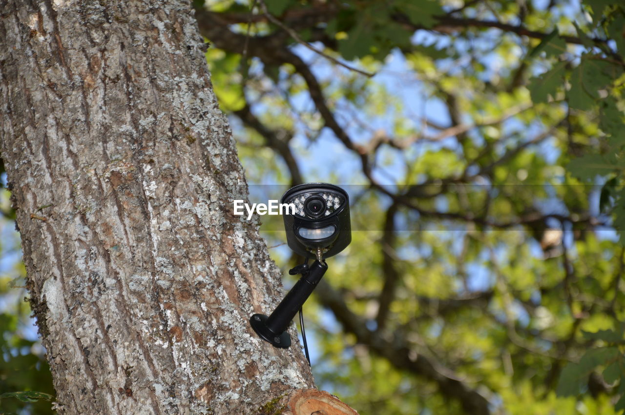 Closeup on a video surveillance camera