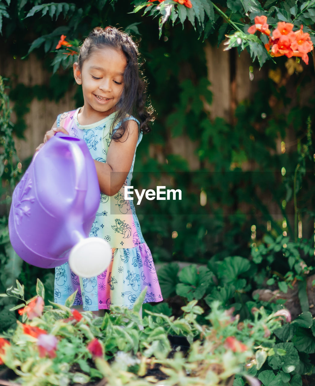 Diverse mixed race pre school girl outdoors during summer watering plants in garden