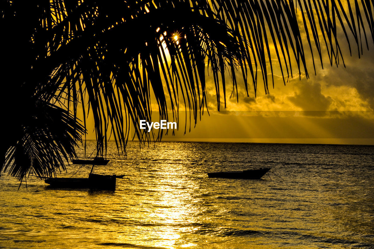 SILHOUETTE PALM TREE BY SEA AGAINST SKY AT SUNSET