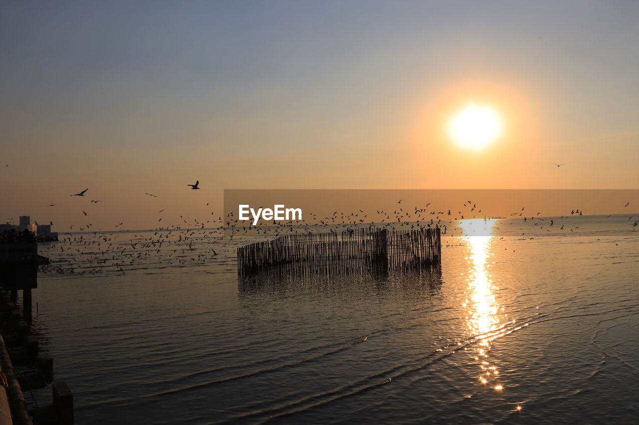 BIRDS FLYING OVER SEA AGAINST SKY