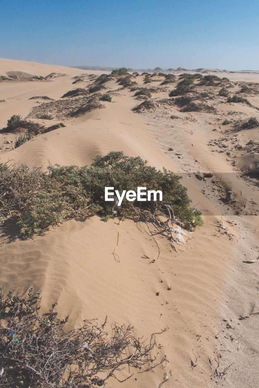 Scenic view of desert against clear sky