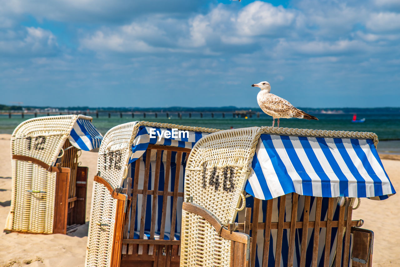 Seagull perching on chair at beach against sky