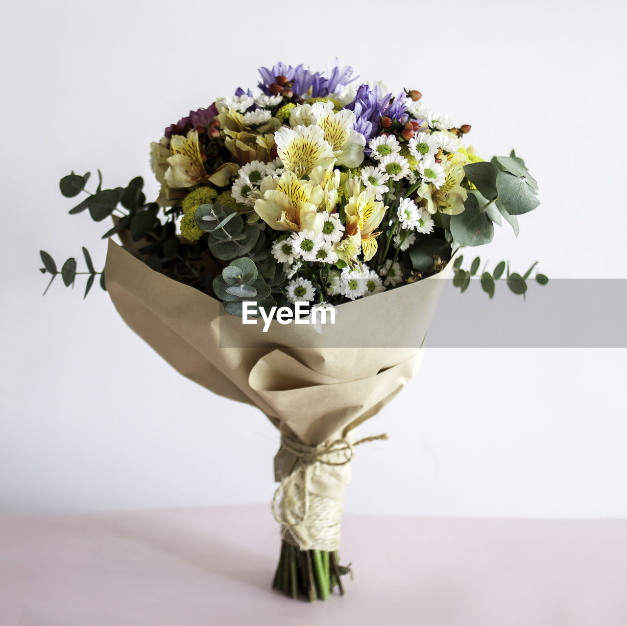 CLOSE-UP OF FLOWER POT ON TABLE