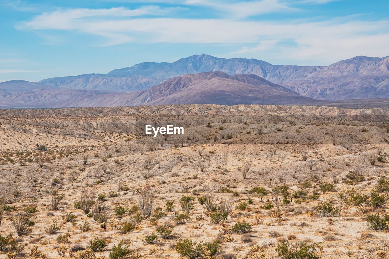 Scenic view of landscape and mountains against sky