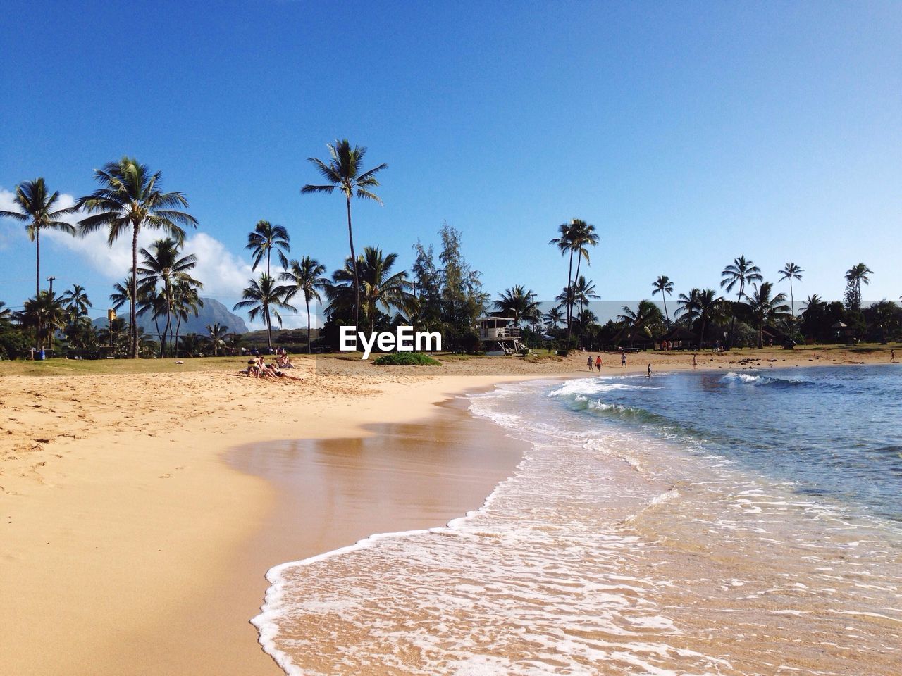 Scenic view of beach against blue sky