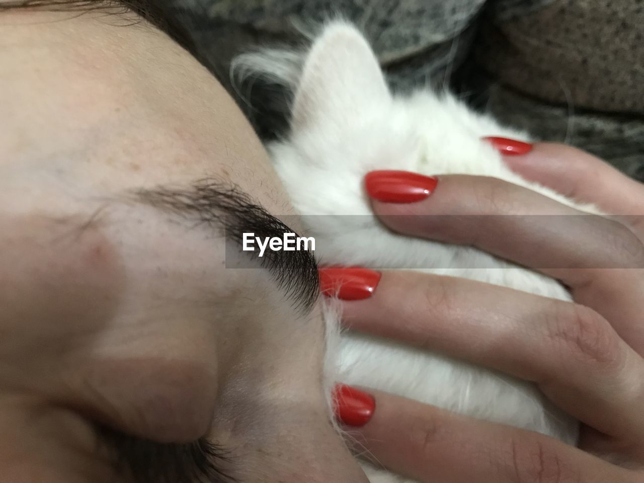 CROPPED IMAGE OF WOMAN HAND WITH HAIR