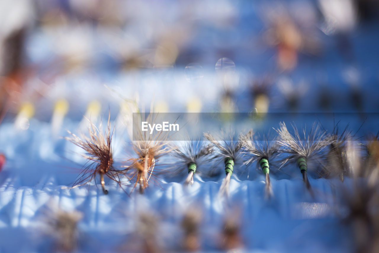 Close-up of flies in a fisherman's fly box.