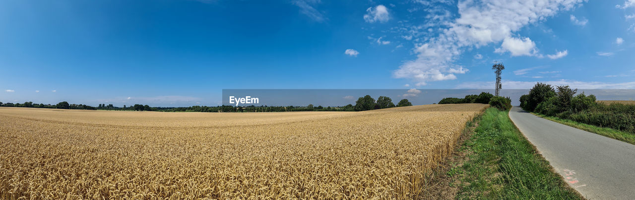 SCENIC VIEW OF FARM AGAINST SKY