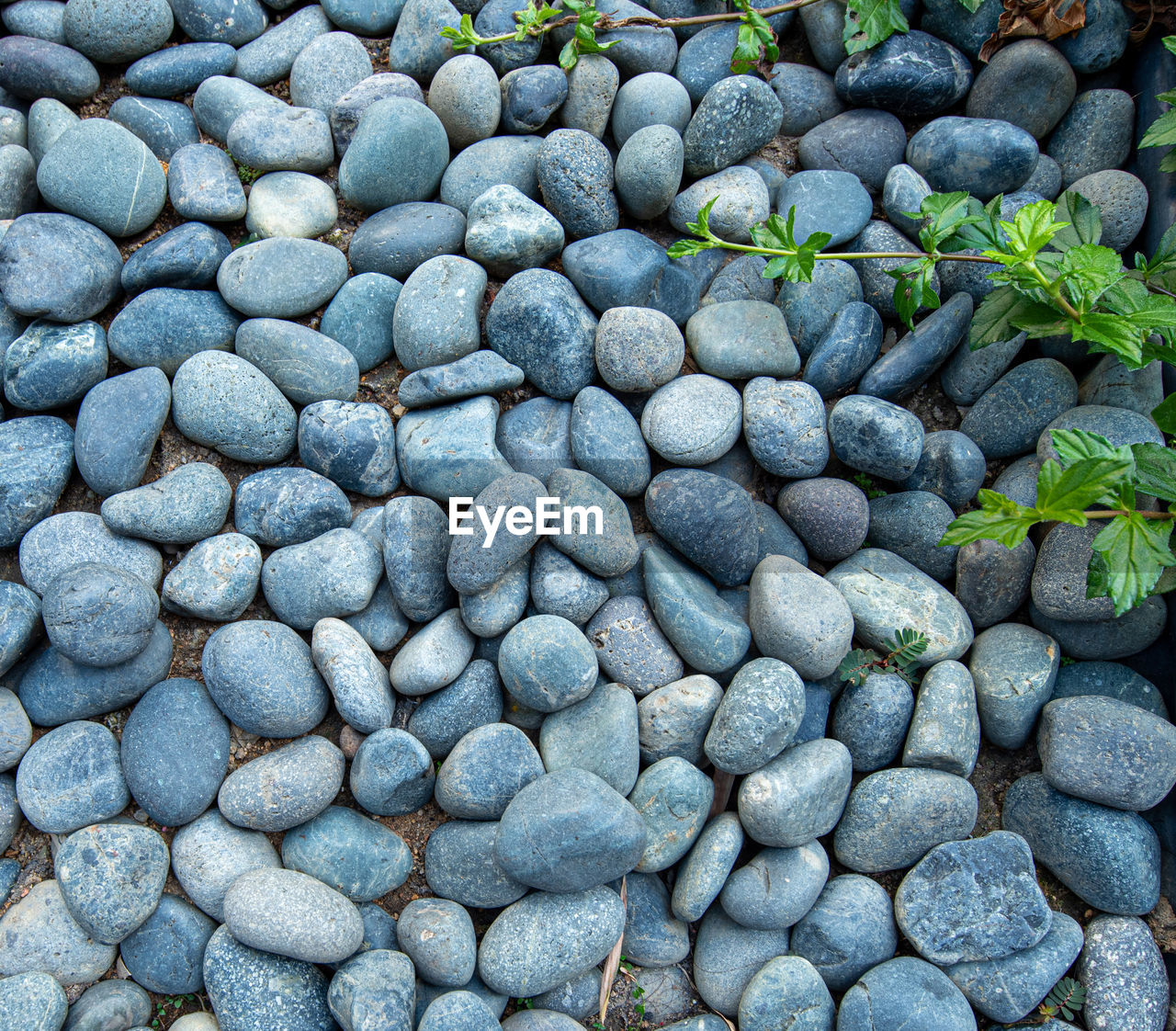 Full frame shot of pebbles outdoors