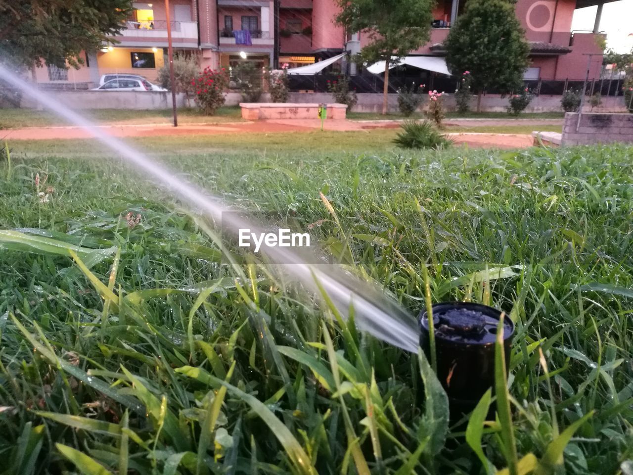BLURRED MOTION OF GRASS IN WATER
