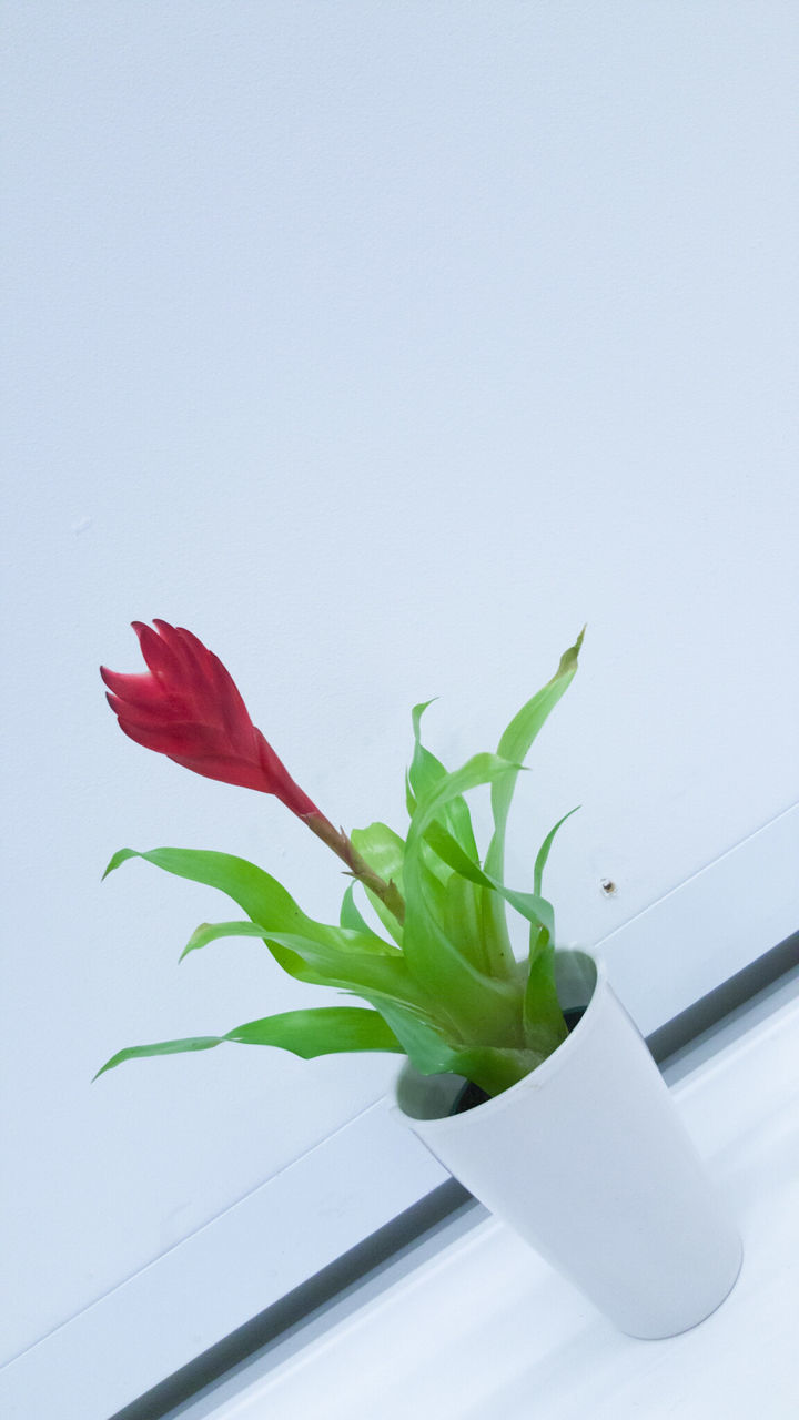 Tilt image of flower vase on white table