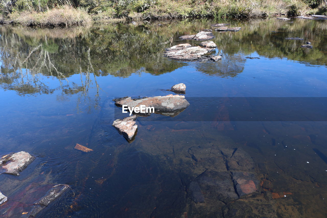 DUCKS SWIMMING IN LAKE