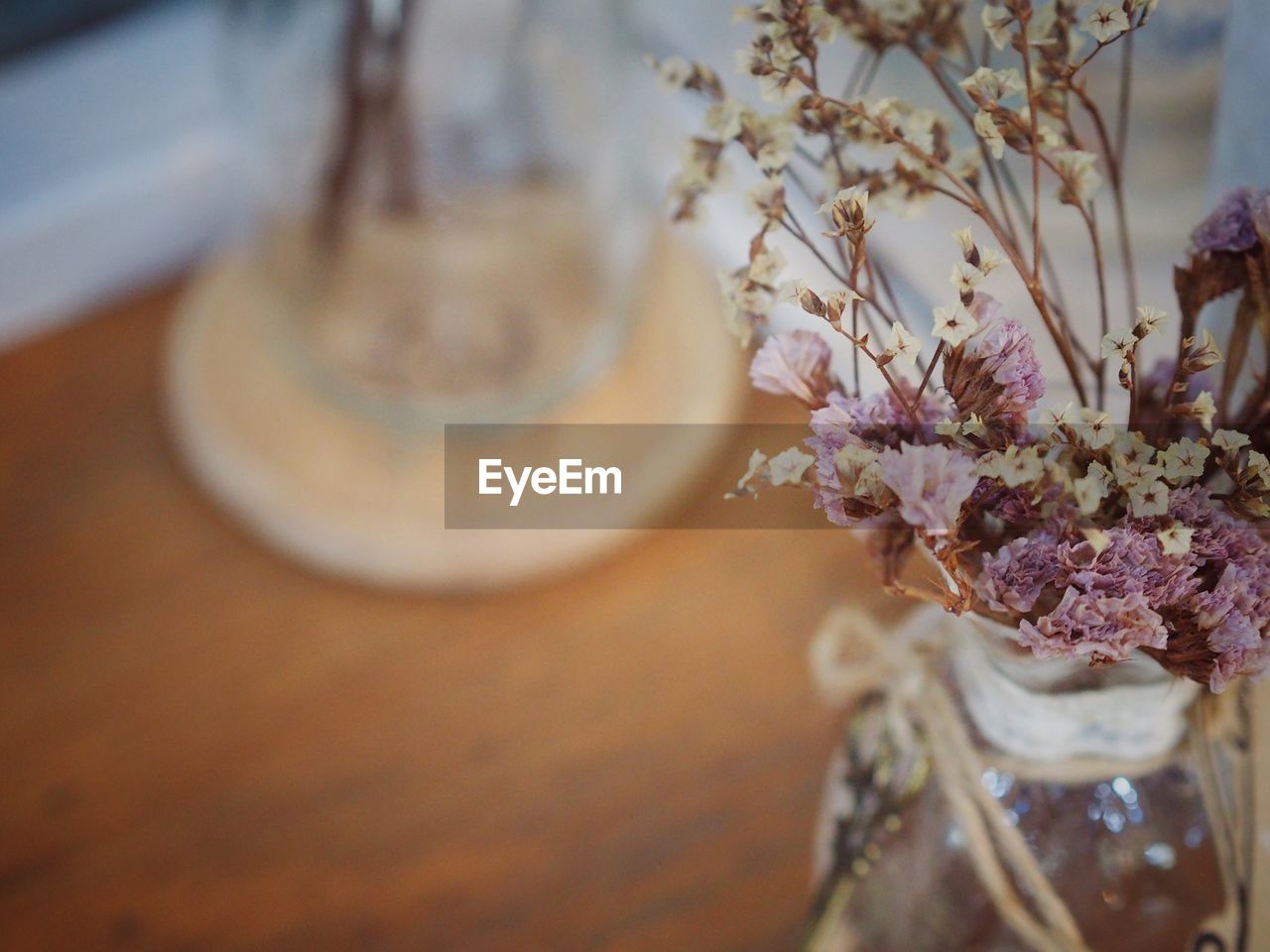 CLOSE-UP OF FLOWERS IN VASE