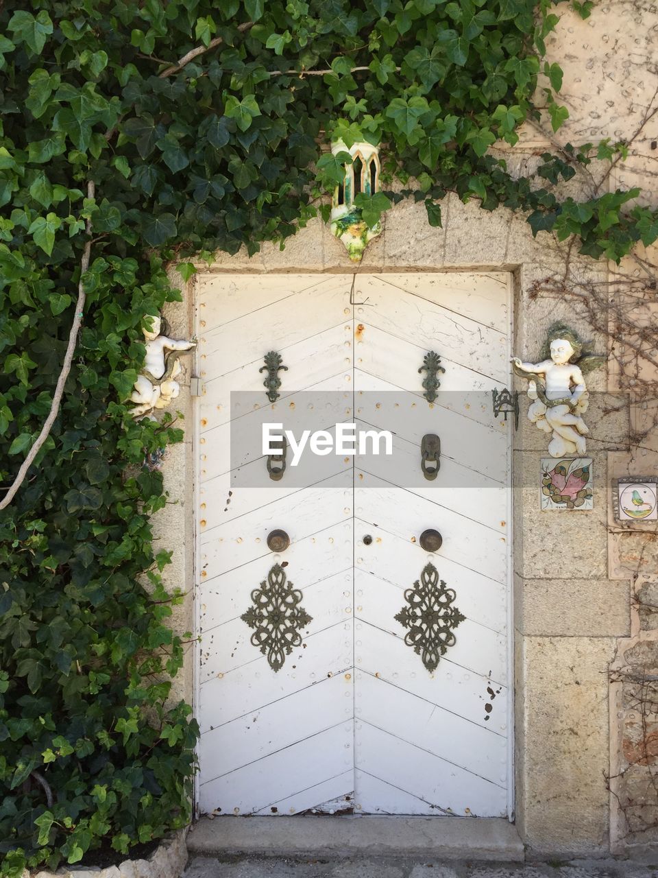 View of closed door along plants
