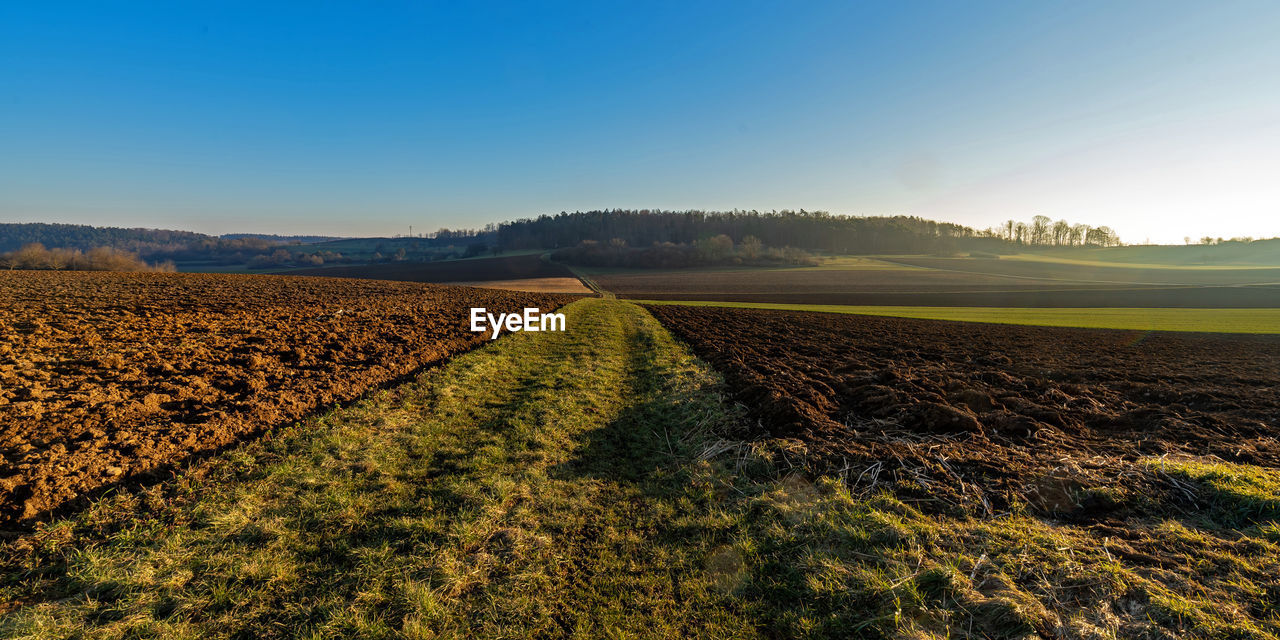 landscape, environment, land, sky, horizon, field, plant, hill, nature, agriculture, rural scene, scenics - nature, morning, plain, beauty in nature, rural area, soil, crop, sunlight, grassland, tranquility, no people, blue, prairie, food and drink, growth, farm, flower, tree, clear sky, food, tranquil scene, grass, cloud, outdoors, sun, sunny, rapeseed, vegetable, day, summer, freshness, dirt, idyllic, non-urban scene, sunrise, horizon over land, in a row, plateau, travel, leaf