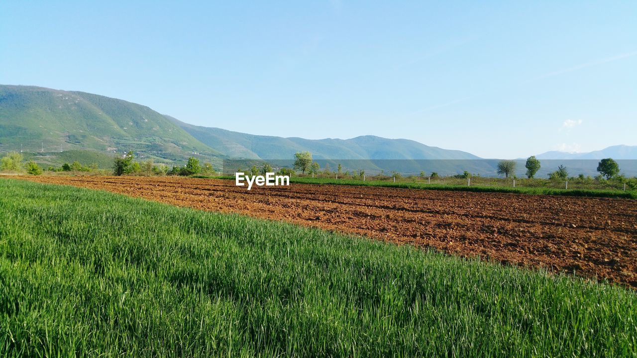 SCENIC VIEW OF FARM AGAINST SKY