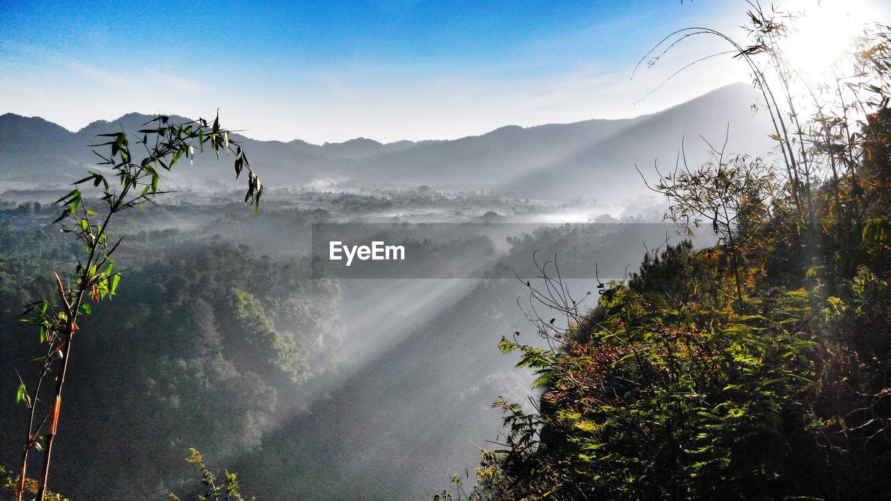 Scenic view of mountains and trees against sky on sunny day