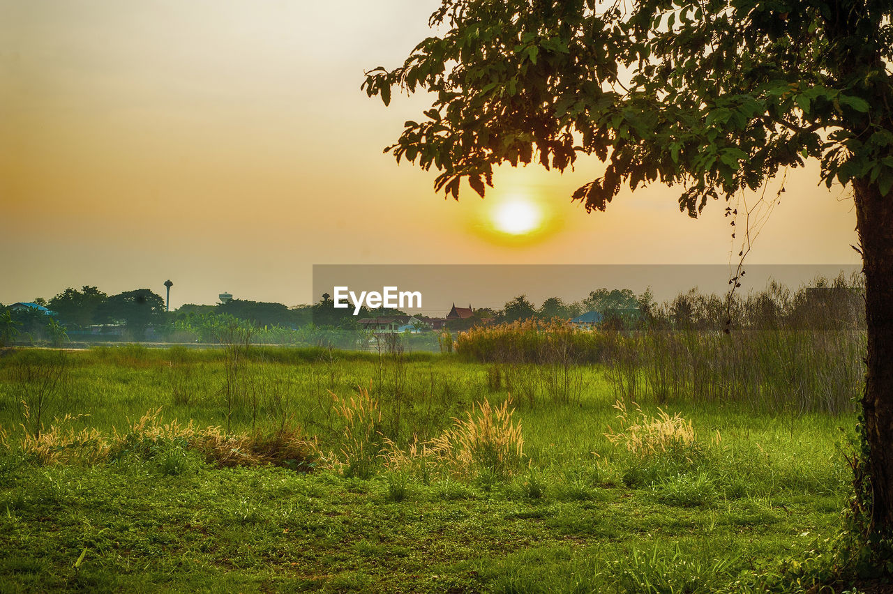 SCENIC VIEW OF LAND AGAINST SKY DURING SUNSET