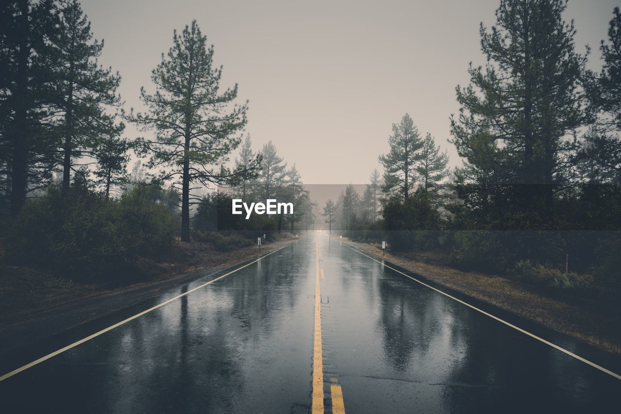 Wet road amidst trees against sky during rainy season