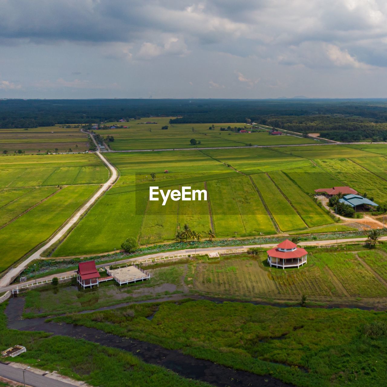 Aerial view of agriculture land, paddy fields in sungai rambai, melaka, malaysia