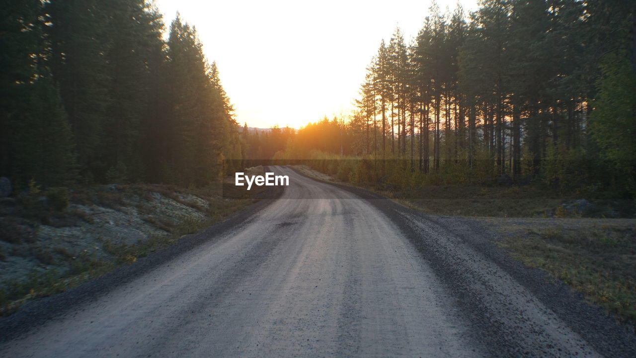 Empty road amidst trees in forest against sky at sunset