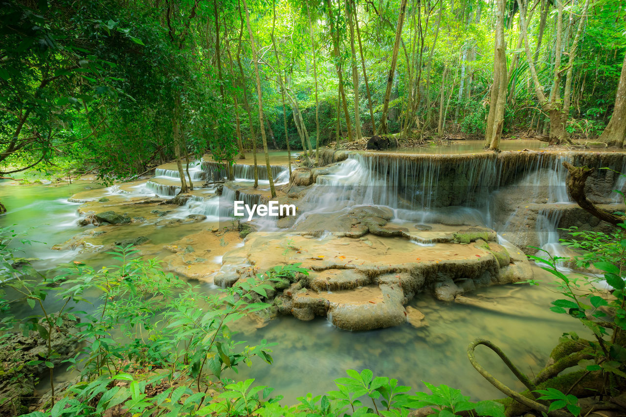 SCENIC VIEW OF RIVER FLOWING IN FOREST