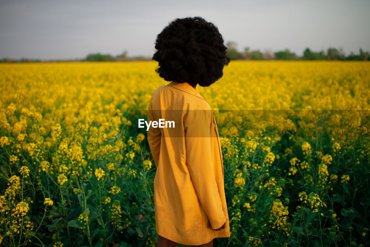Back view of unrecognizable young african american female with curly hair dressed in black and yellow clothes while standing amidst bright yellow flowers in blooming field