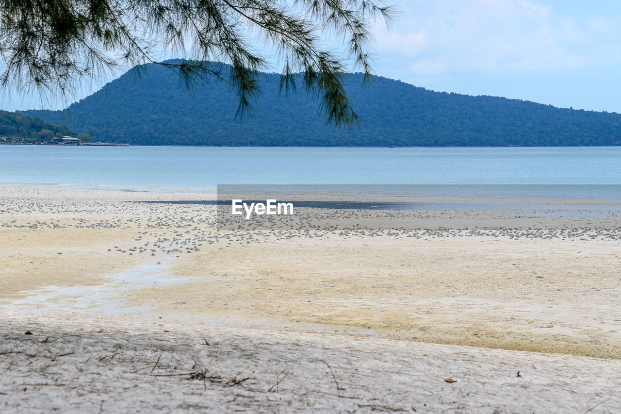 SCENIC VIEW OF BEACH