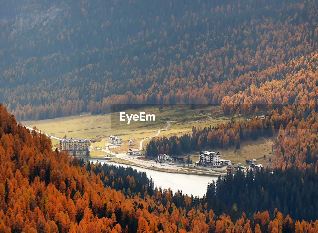 Scenic view of landscape during autumn