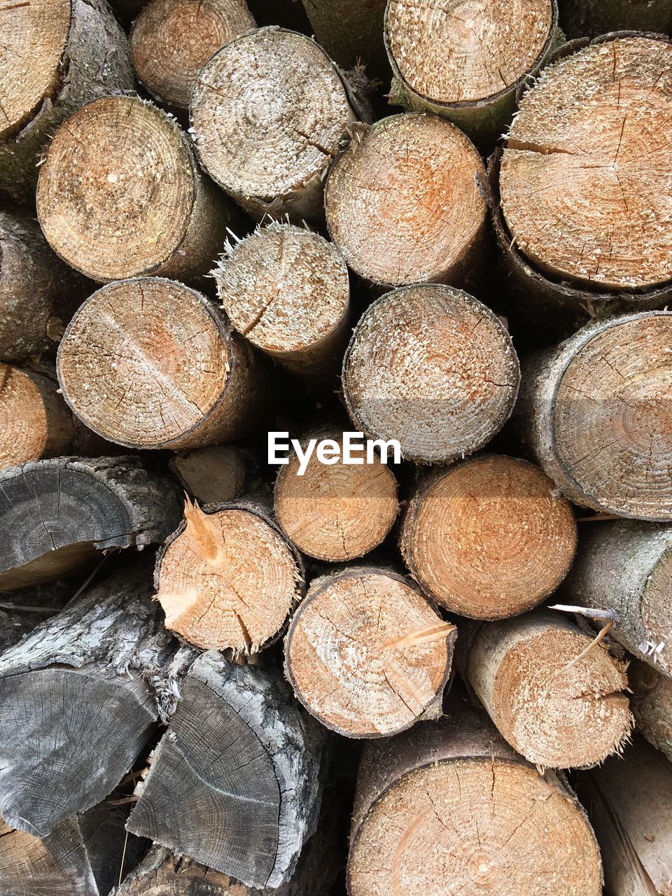 FULL FRAME SHOT OF FIREWOOD IN FOREST