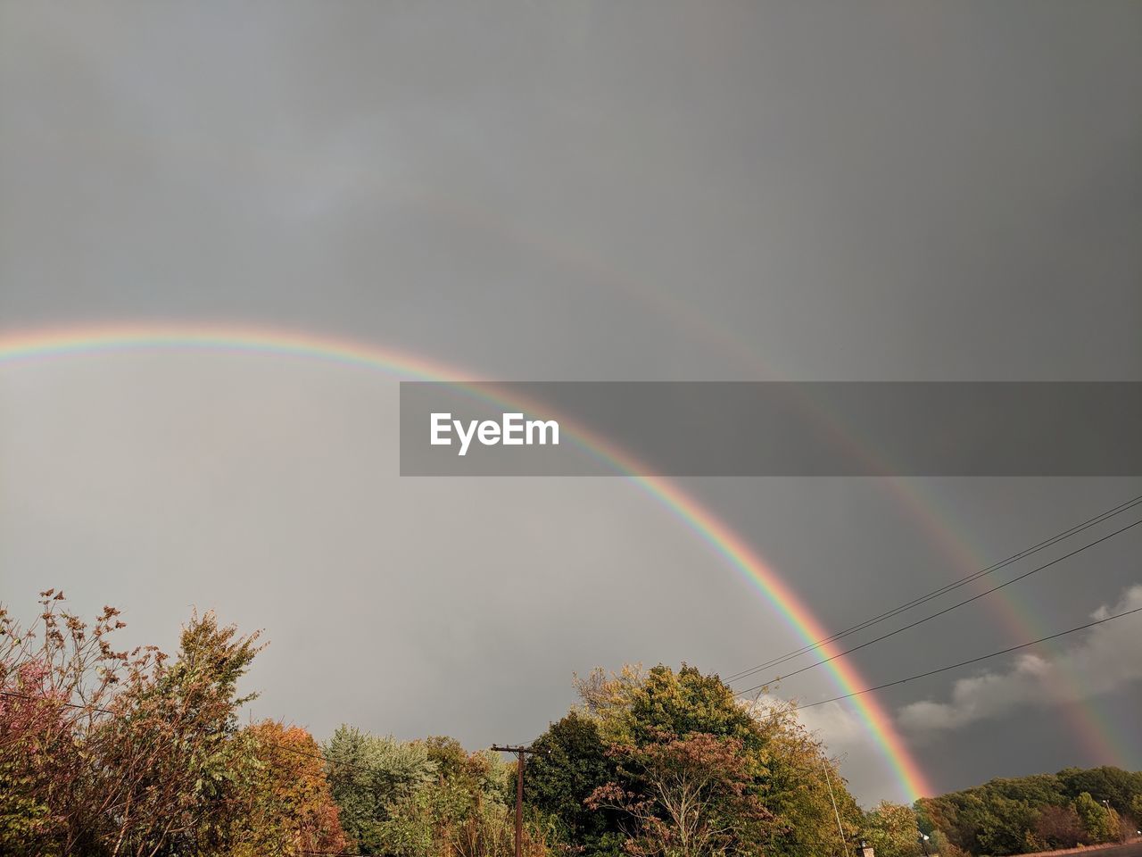 RAINBOW OVER TREES AGAINST SKY