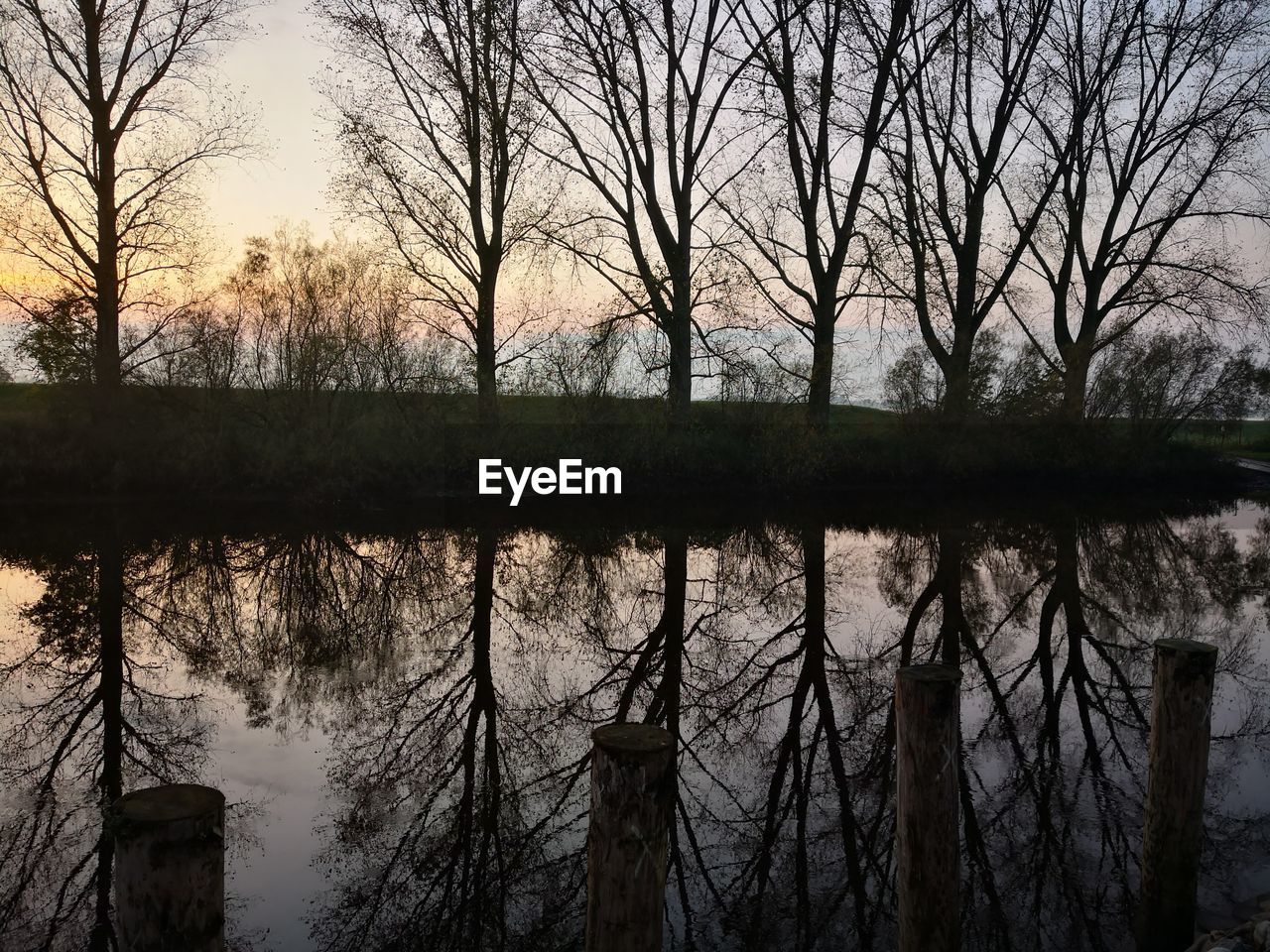 REFLECTION OF TREES IN LAKE AGAINST SKY