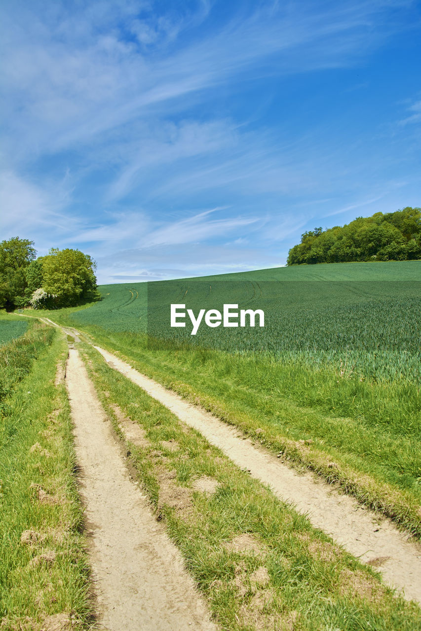 Footpath through green field against cloudy sky