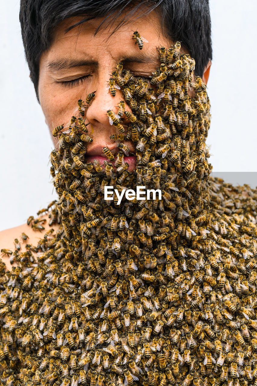 A beekeeper covered in bees, bee treatment