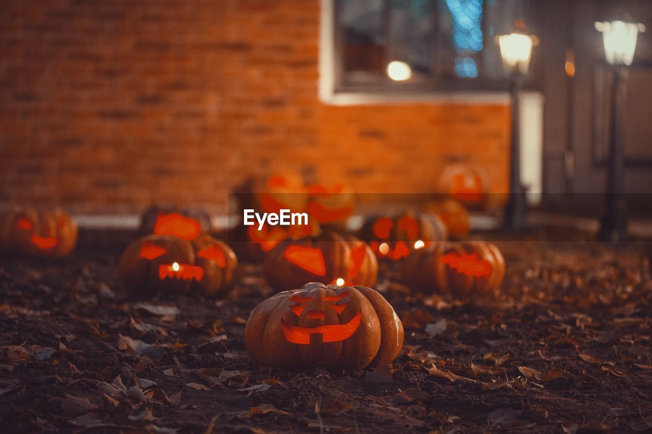 View of pumpkins during autumn