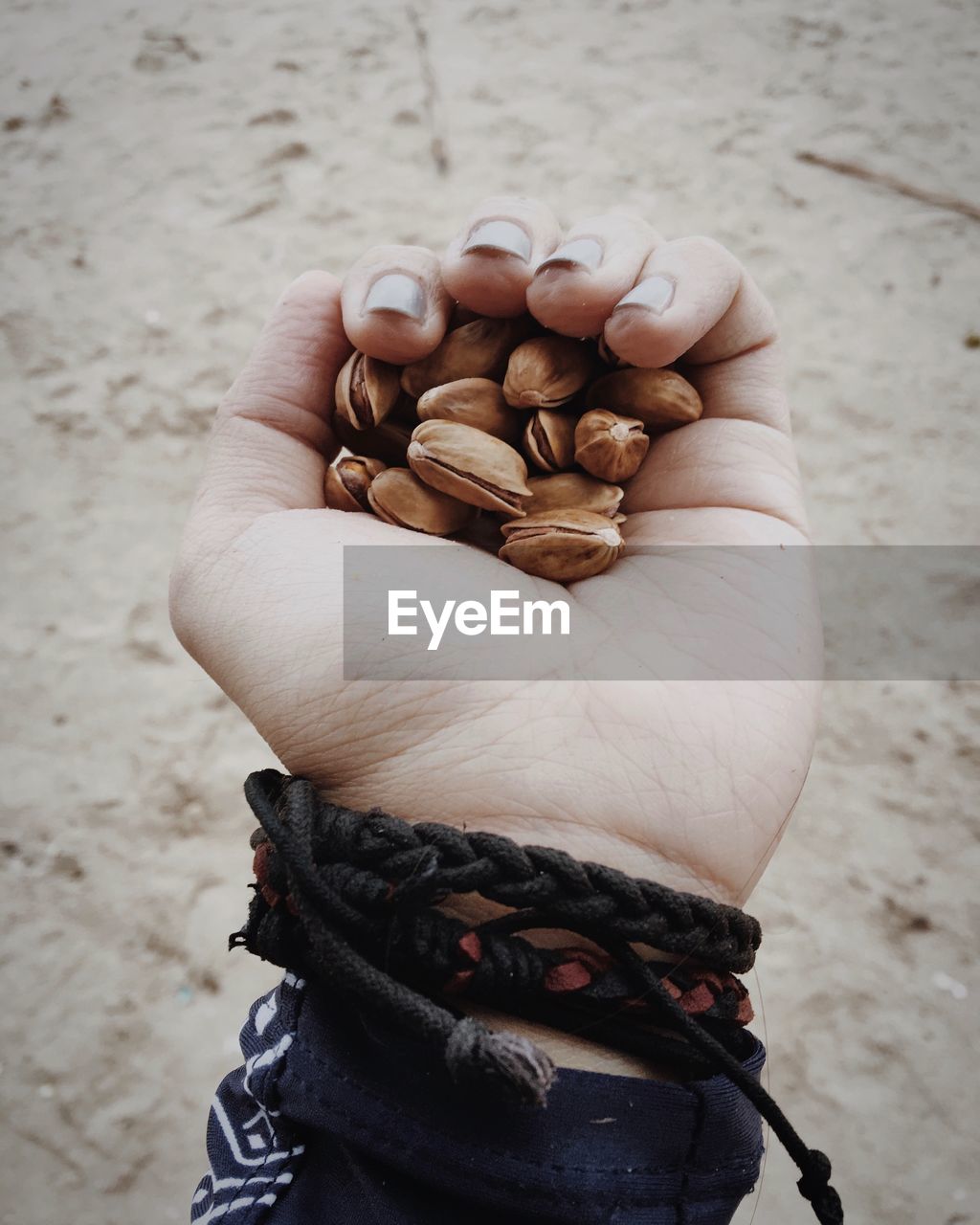 Cropped hand of woman holding pistachios