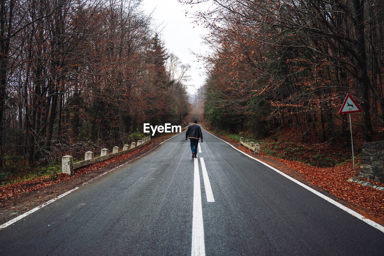 REAR VIEW OF WOMAN ON ROAD AMIDST TREES