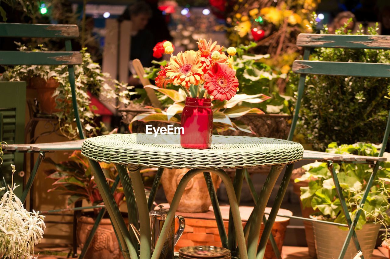 Flowers in vase on table by potted plants
